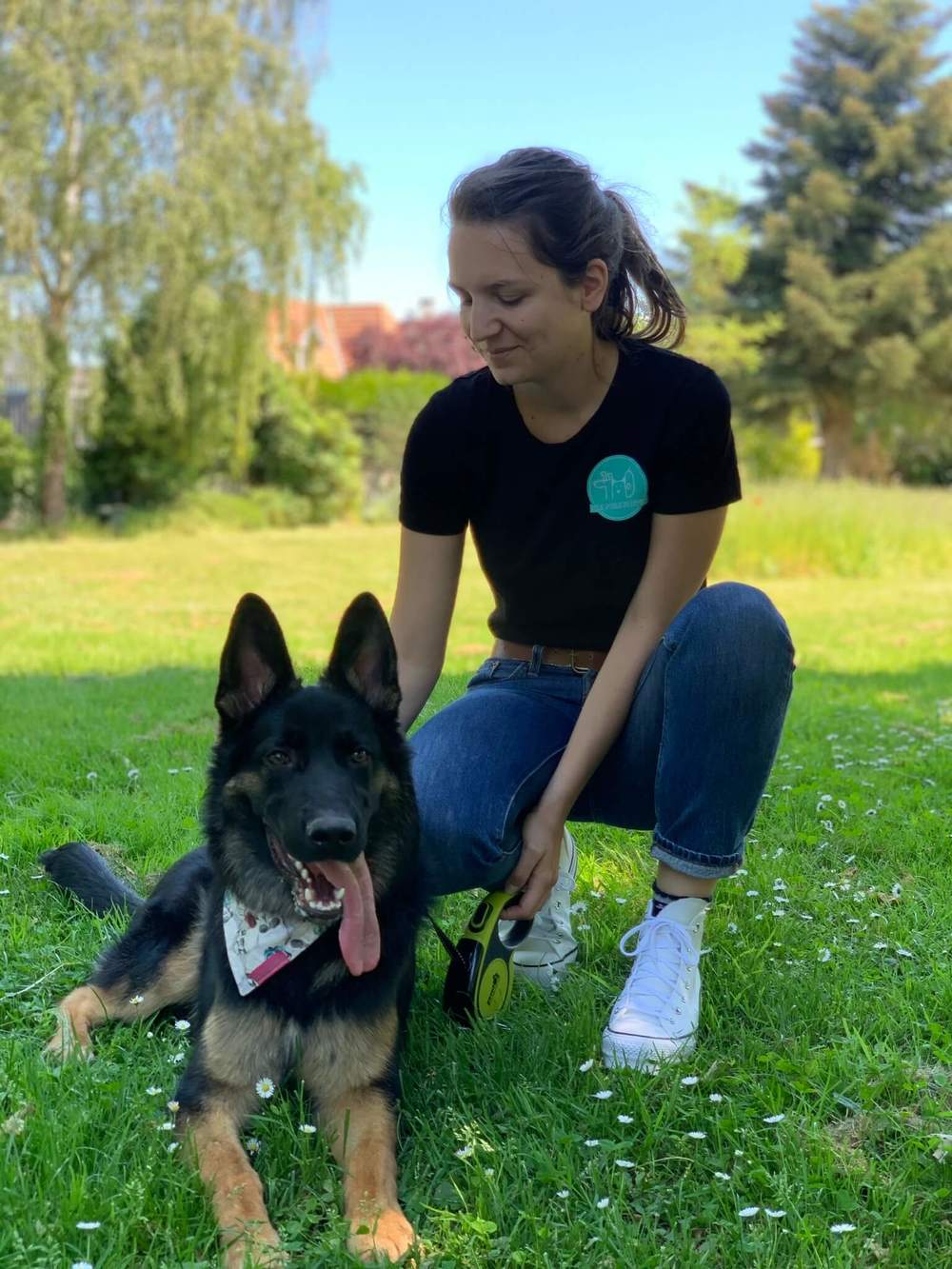 Chien sur l'herbe